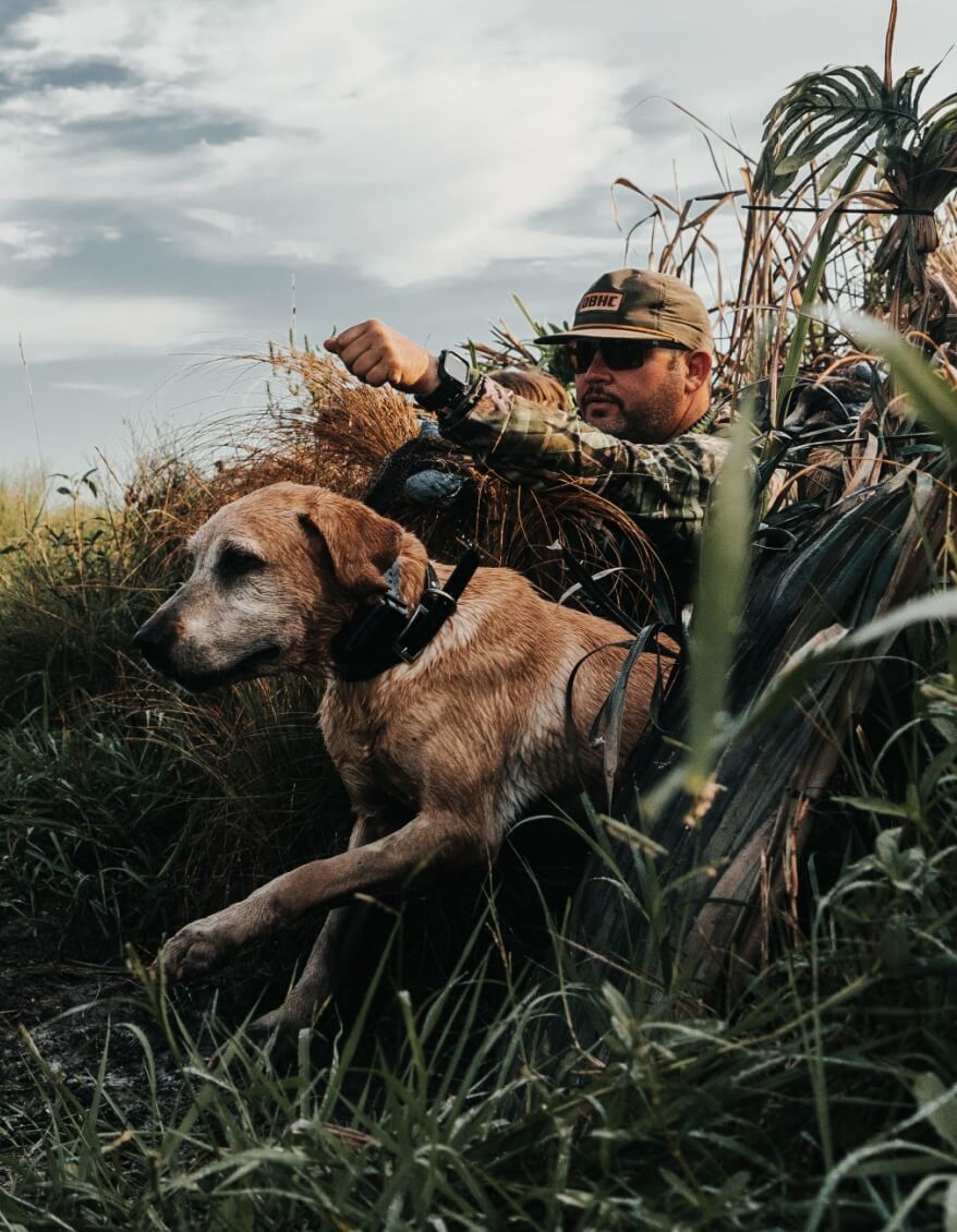 Hunting & Shooting Lenses