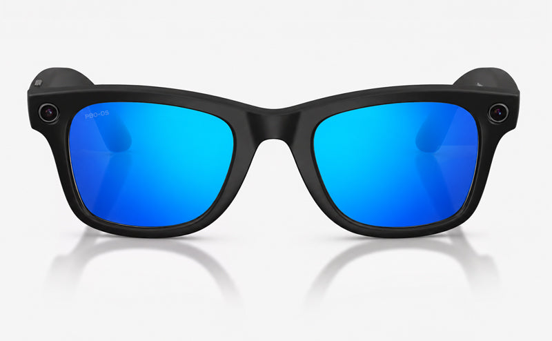 Meta Wayfarer Standard